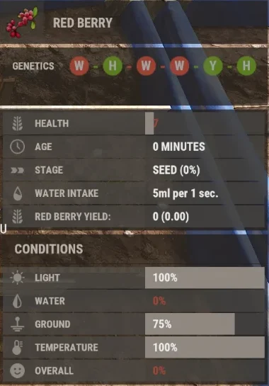 Rust: Anzeige einer frisch gepflanzten Red Berry mit Genetik W H W W Y H und den Bedingungen Licht 100 %, Wasser 0 %, Boden 75 %, Temperatur 100 %, Overall 0 %